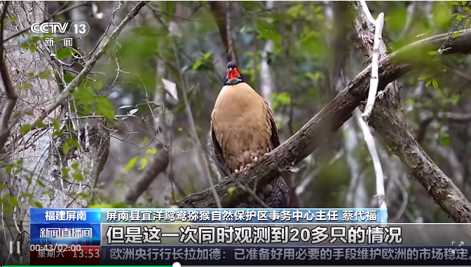 微信图片_20250415093831.png