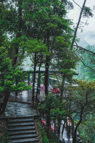 微信图片_20250430081256.png