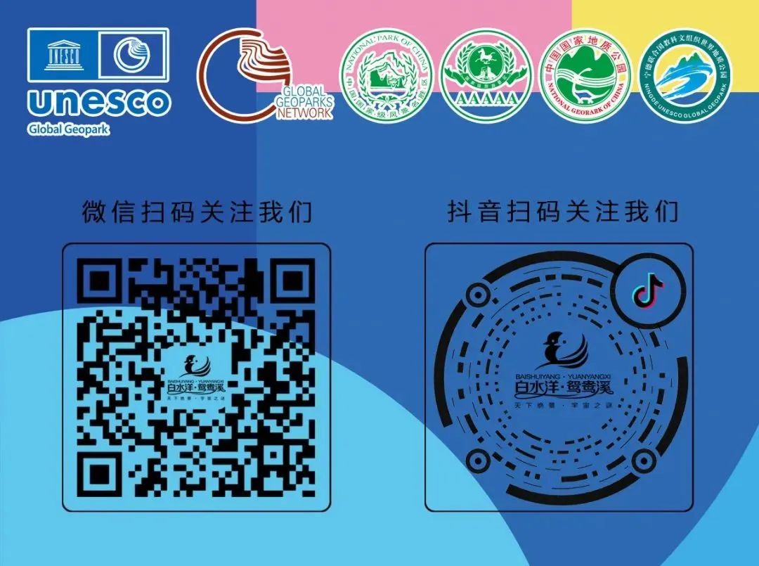 eee5ade5e81655784da426cdbe8a2f86.jpg