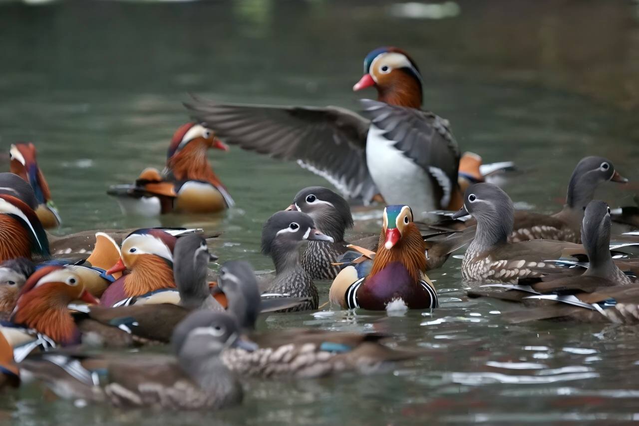 1769671187124142.jpg 微信图片_20260129111819_1036_341(1).jpg