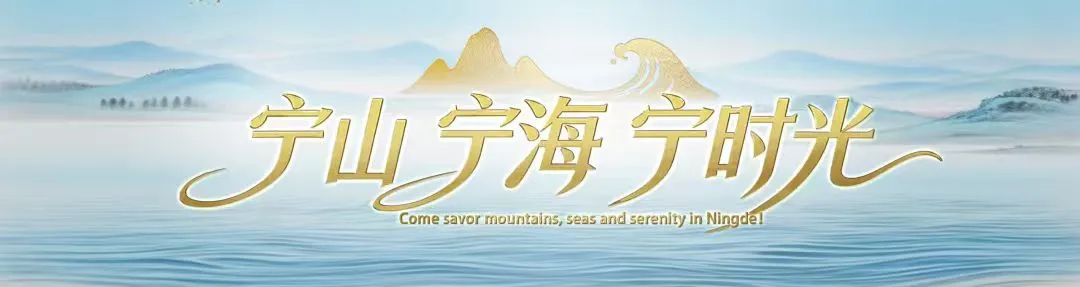 1785374762303258.png 632f2019-bea8-409c-bf7c-c3fe31652203.png